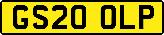 GS20OLP