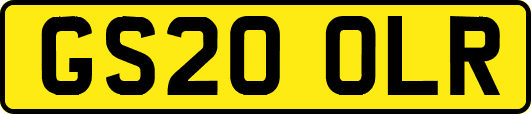 GS20OLR
