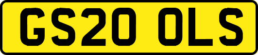 GS20OLS