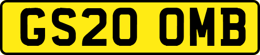 GS20OMB