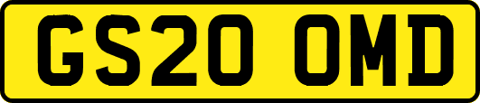 GS20OMD