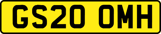 GS20OMH
