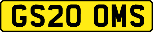 GS20OMS