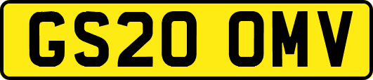 GS20OMV