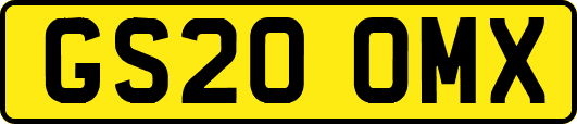 GS20OMX