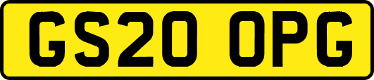 GS20OPG