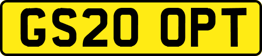 GS20OPT
