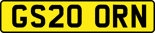 GS20ORN
