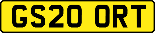 GS20ORT