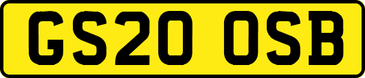 GS20OSB