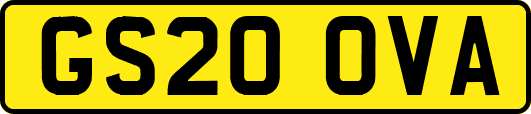 GS20OVA