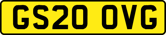 GS20OVG