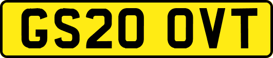 GS20OVT