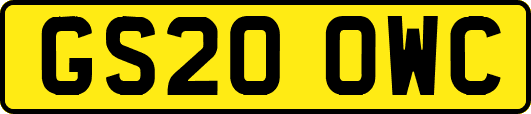 GS20OWC