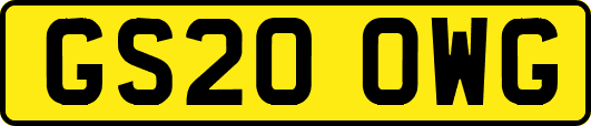 GS20OWG