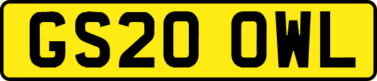 GS20OWL