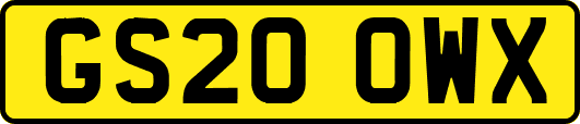 GS20OWX