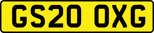 GS20OXG