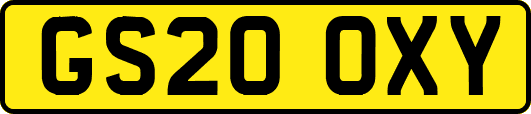 GS20OXY