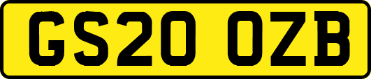 GS20OZB