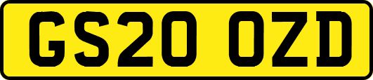 GS20OZD