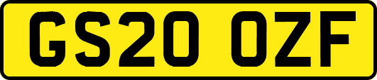 GS20OZF