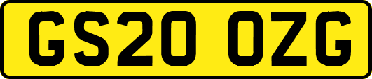 GS20OZG