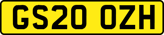 GS20OZH