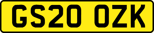 GS20OZK