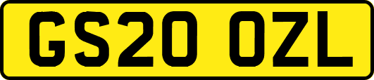 GS20OZL