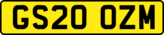 GS20OZM