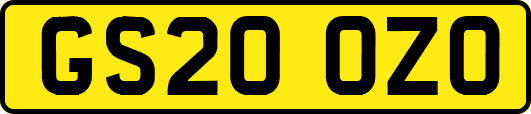GS20OZO