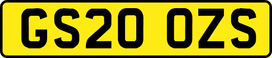 GS20OZS