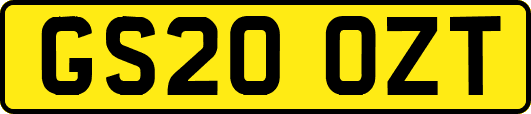 GS20OZT