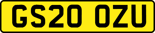 GS20OZU