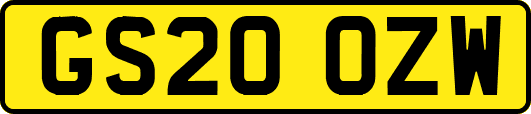 GS20OZW