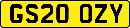 GS20OZY