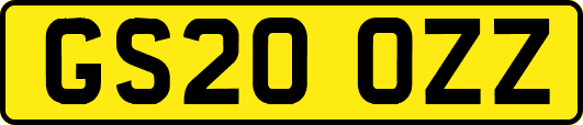 GS20OZZ