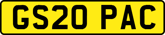 GS20PAC