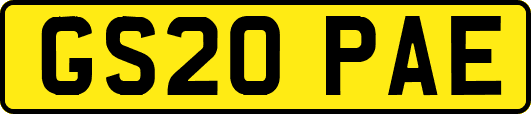 GS20PAE