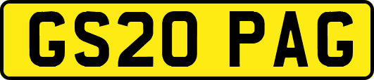 GS20PAG