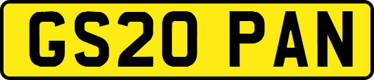 GS20PAN