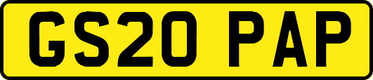 GS20PAP
