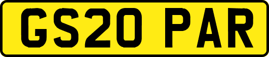 GS20PAR