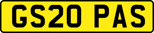 GS20PAS
