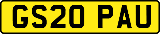 GS20PAU