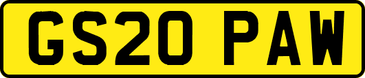GS20PAW