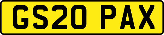 GS20PAX