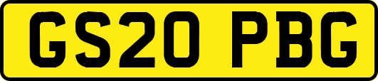 GS20PBG
