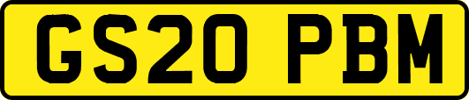 GS20PBM